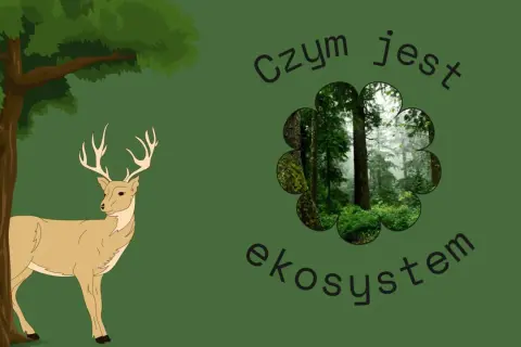 Konkurencja w biologii – zrozumienie jej roli i wpływu na ekosystemy