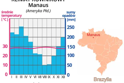 Co powoduje gorący i wilgotny klimat lasów równikowych? Zaskakujące fakty