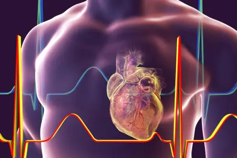 Anatomia serca z widoczną prawą komorą, otoczona wykresami EKG, symbolizującymi pracę serca.