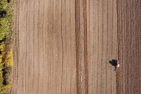 Klimat monsunowy – kluczowe cechy i wpływ na rolnictwo