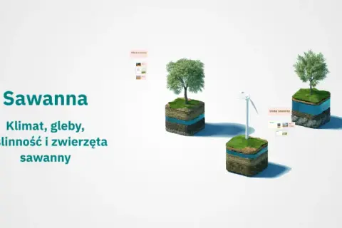 Jaki jest klimat na sawannie? Poznaj zaskakujące zmiany sezonowe