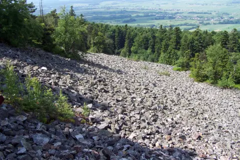 Kamieniste zbocze porośnięte drzewami, krajobraz przypominający ten z czasów, gdy panował co to klimat peryglacjalny.