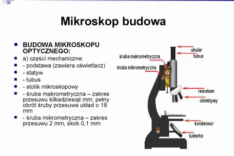Rysunek przedstawia budowę mikroskopu optycznego z zaznaczonymi elementami: okular, tubus, śruby makrometryczne, rewolwer, obiektywy, kondensor i lusterko.
