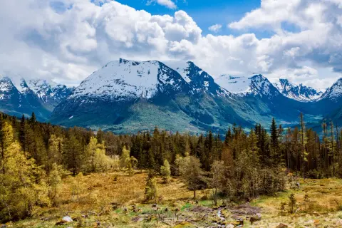 Jaki jest klimat w Norwegii? Odkryj zaskakujące różnice regionalne