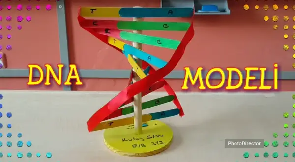 Jak zrobić DNA na biologię: proste kroki do stworzenia modelu