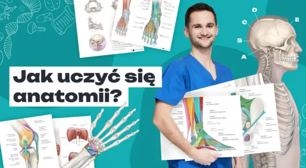 Uśmiechnięty student medycyny prezentuje materiały edukacyjne, pokazując jak się uczyć anatomii. Widoczne są ilustracje kości, mięśni i stawów.