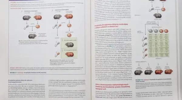 Biologia Villego czy Campbella - który podręcznik jest lepszy?