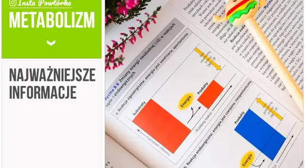 Co to jest metabolizm w biologii? Zrozum jego kluczowe znaczenie