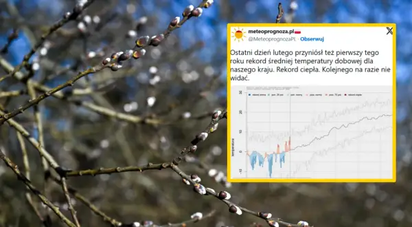 Wykres pokazuje rekordowe średnie temperatury w Polsce na przestrzeni lat. Widać wyraźnie odchylenia od normy, z dominacją rekordów ciepła.