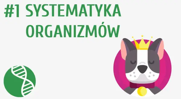 Co to jest systematyka w biologii i dlaczego jest tak ważna?