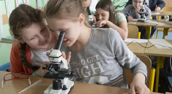 Czy nauczyciel biologii może uczyć przyrody? Poznaj kluczowe wymagania