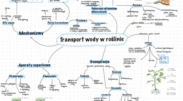 Mapa myśli przedstawiająca transport wody w roślinie, obejmująca mechanizmy, aparaty szparkowe, transpirację, pobieranie składników mineralnych i czynniki wpływające na ten proces.