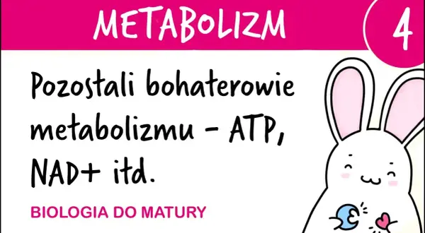 ATP w biologii: co to jest i jak wpływa na życie komórek