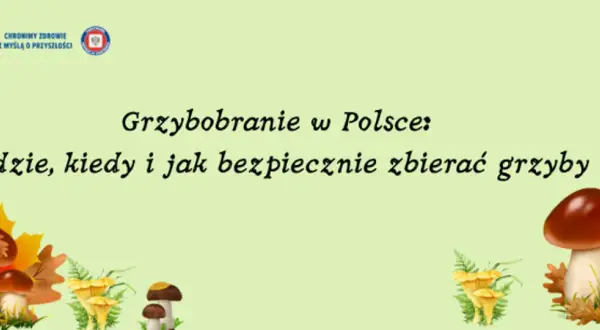 Grzybobranie w Polsce: gdzie, kiedy i jak bezpiecznie zbierać grzyby. Ilustracja przedstawia jesienne liście i różne gatunki grzybów w lesie.