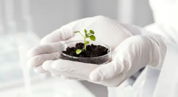 Co po maturze z biologii? Odkryj najlepsze kierunki i zawody
