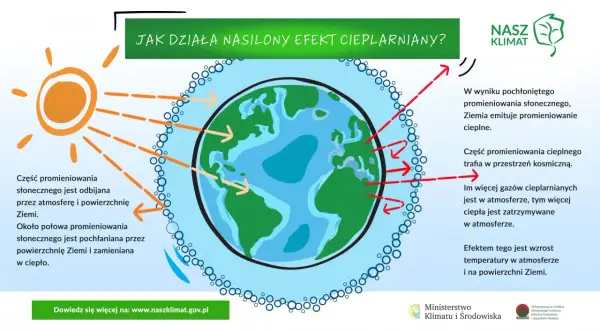 Ilustracja pokazuje, jak klimat kształtuje różnorodność biologiczną poprzez efekt cieplarniany. Słońce ogrzewa Ziemię, a gazy cieplarniane zatrzymują ciepło.