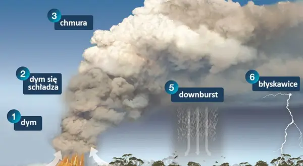 Schemat wyjaśniający pożary w Australii: dym, chmura, burza, downburst i błyskawice.