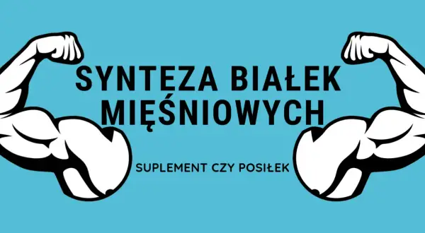 Dwa umięśnione ramiona symbolizują, jak wzmaga syntezę białek mięśniowych. Pytanie: suplement czy posiłek?