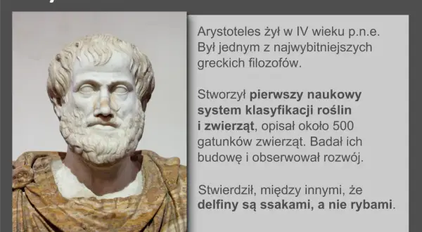 Busta Arystotelesa, filozofa, który stworzył pierwszy naukowy system klasyfikacji organizmów, opisując rośliny i zwierzęta.