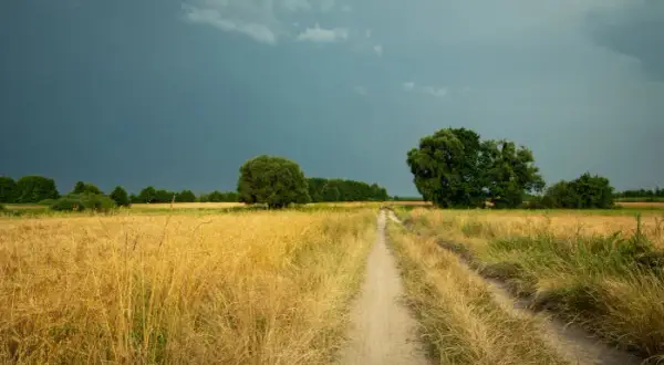 Jak to działa klimat i pogoda? Zrozum różnice i ich wpływ