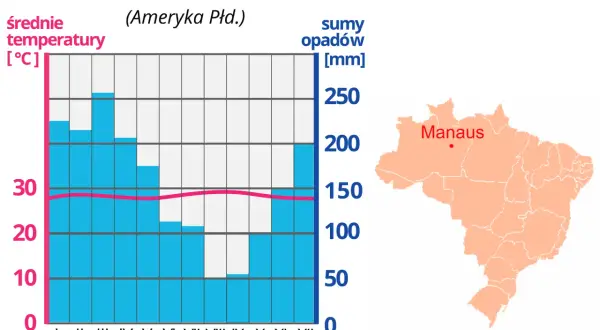 Co powoduje gorący i wilgotny klimat lasów równikowych? Zaskakujące fakty