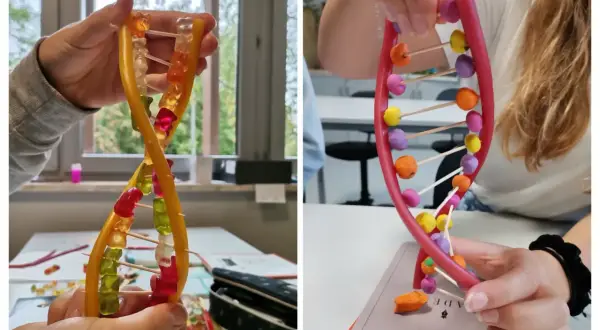 Jak zrobić model DNA z koralików? Dwie ręce tworzą podwójną helisę z żelków i plasteliny, pokazując kreatywny sposób na naukę biologii.