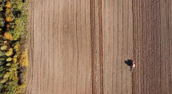 Klimat monsunowy – kluczowe cechy i wpływ na rolnictwo