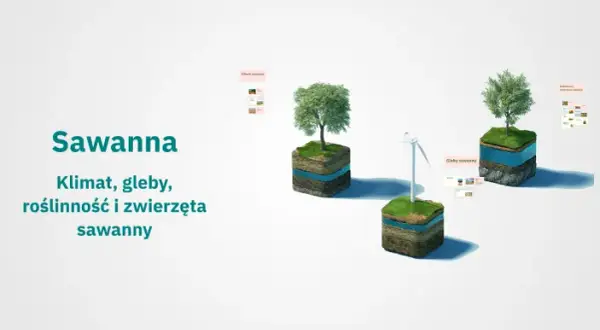 Jaki jest klimat na sawannie? Poznaj zaskakujące zmiany sezonowe