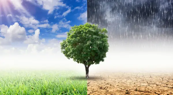 Co zmienia klimat? Poznaj przyczyny i skutki zmian klimatycznych