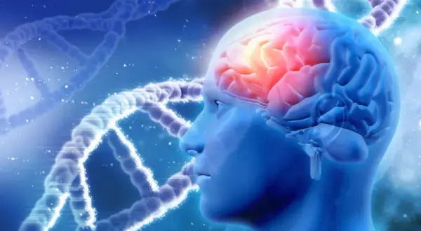 Totalna biologia jak rozwiązać konflikt emocjonalny i odzyskać zdrowie