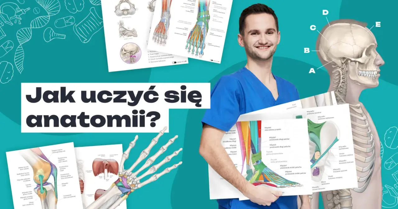 Uśmiechnięty student medycyny prezentuje materiały edukacyjne, pokazując jak się uczyć anatomii. Widoczne są ilustracje kości, mięśni i stawów.