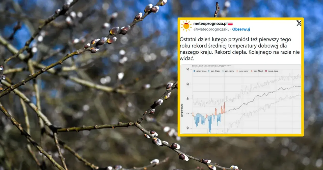Wykres pokazuje rekordowe średnie temperatury w Polsce na przestrzeni lat. Widać wyraźnie odchylenia od normy, z dominacją rekordów ciepła.