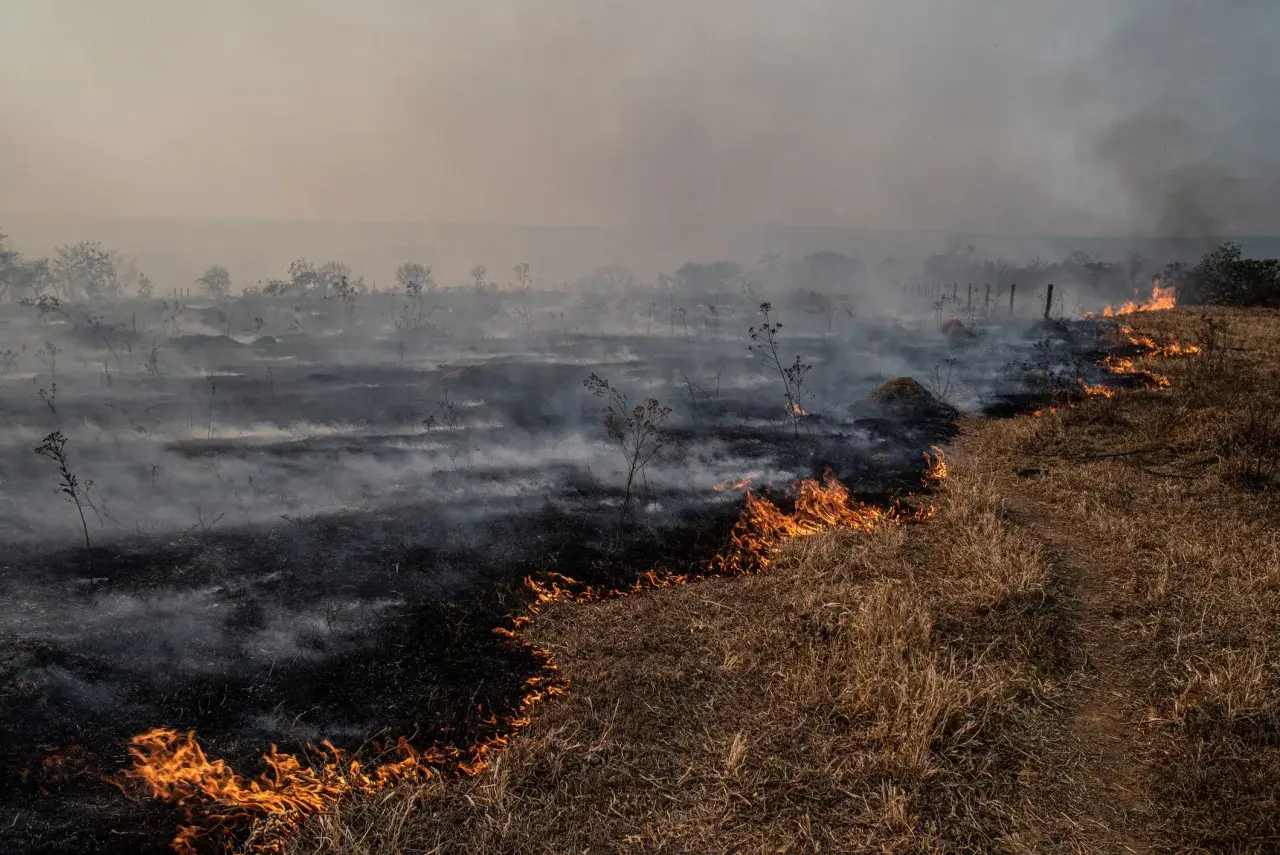 Pożar traw i dym unoszący się nad spalonym terenem. To obraz, który przypomina, co to jest efekt cieplarniany i jak niszczy naturę.