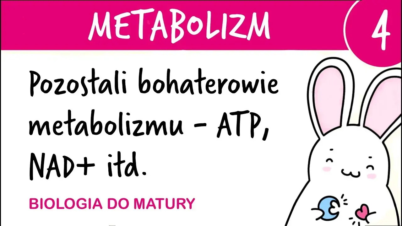 ATP w biologii: co to jest i jak wpływa na życie komórek