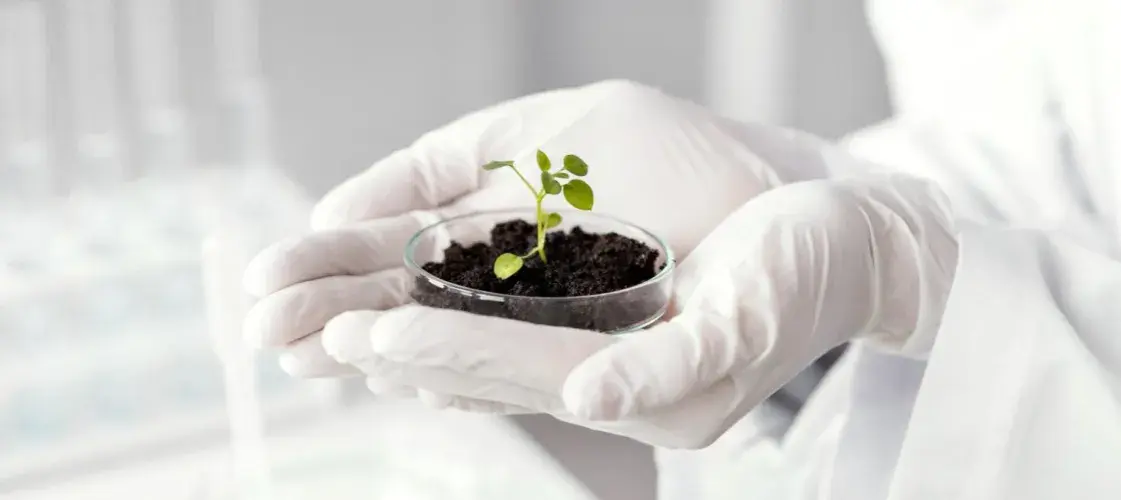 Co po maturze z biologii? Odkryj najlepsze kierunki i zawody