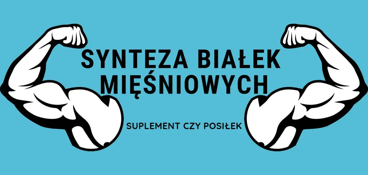 Dwa umięśnione ramiona symbolizują, jak wzmaga syntezę białek mięśniowych. Pytanie: suplement czy posiłek?