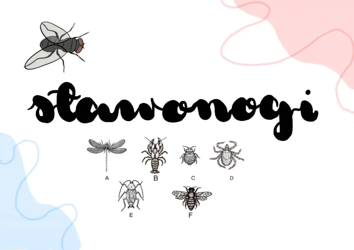 Ilustracje przedstawiają różnorodne stawonogi, od ważki po pszczołę, ukazując bogactwo biologii rozszerzonej.