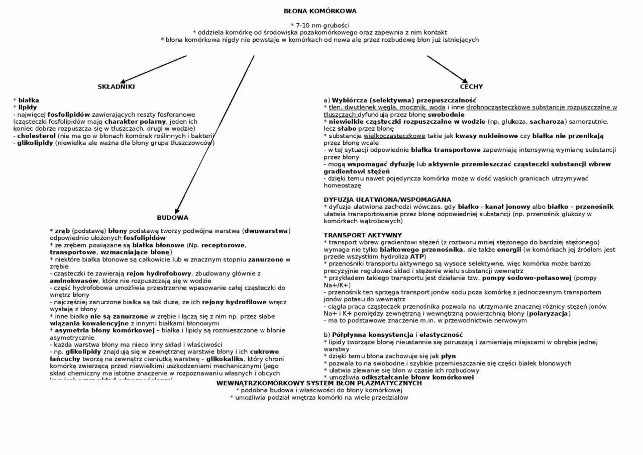 Schemat budowy komórki eukariotycznej: składniki, budowa, cechy. Opisuje budowę błony komórkowej, jej składniki (białka, lipidy, cholesterol, glikolipidy) i funkcje.
