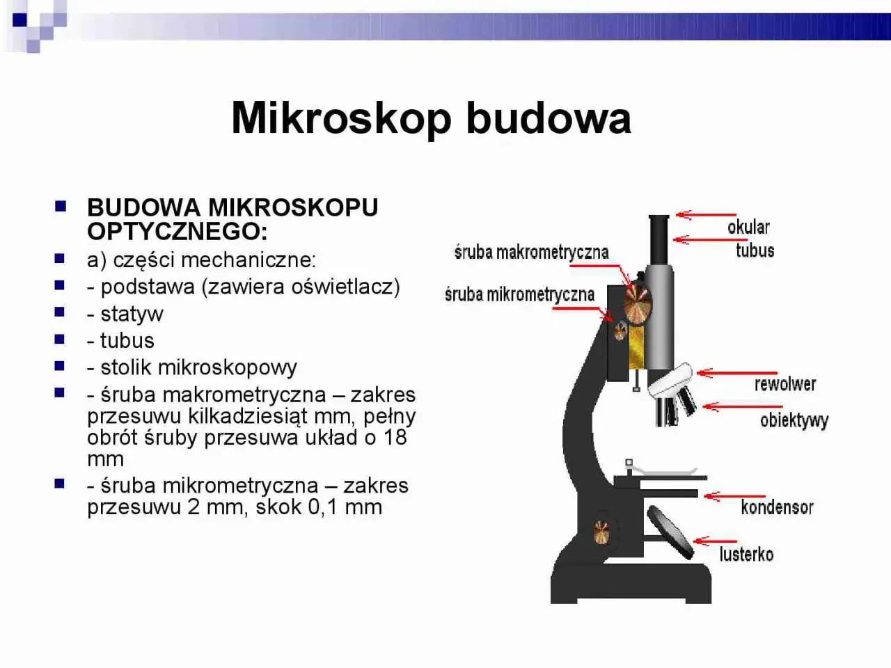 Rysunek przedstawia budowę mikroskopu optycznego z zaznaczonymi elementami: okular, tubus, śruby makrometryczne, rewolwer, obiektywy, kondensor i lusterko.