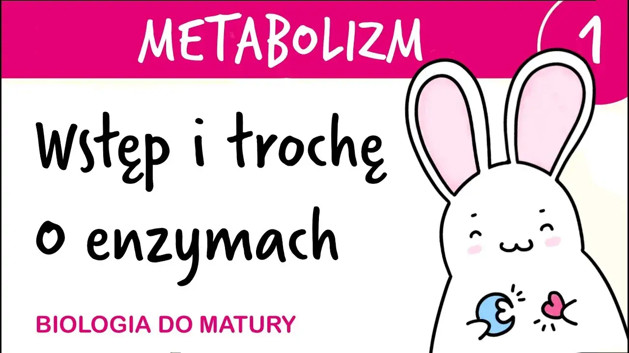 Zdjęcie Co to jest metabolizm w biologii? Zrozum jego kluczowe znaczenie