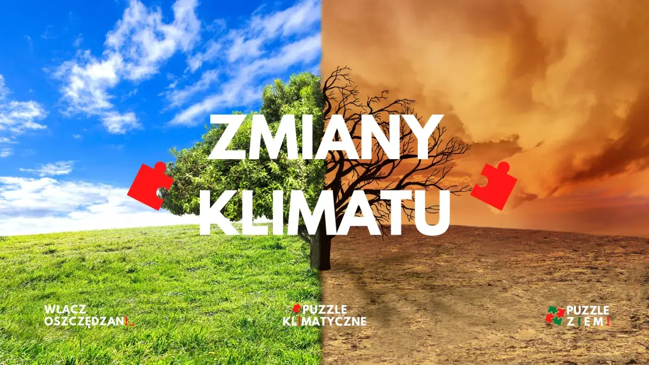 Obraz symbolizuje zmiany klimatyczne na ziemi: bujną zieleń po lewej i pustynię po prawej, z drzewem dzielącym oba światy.