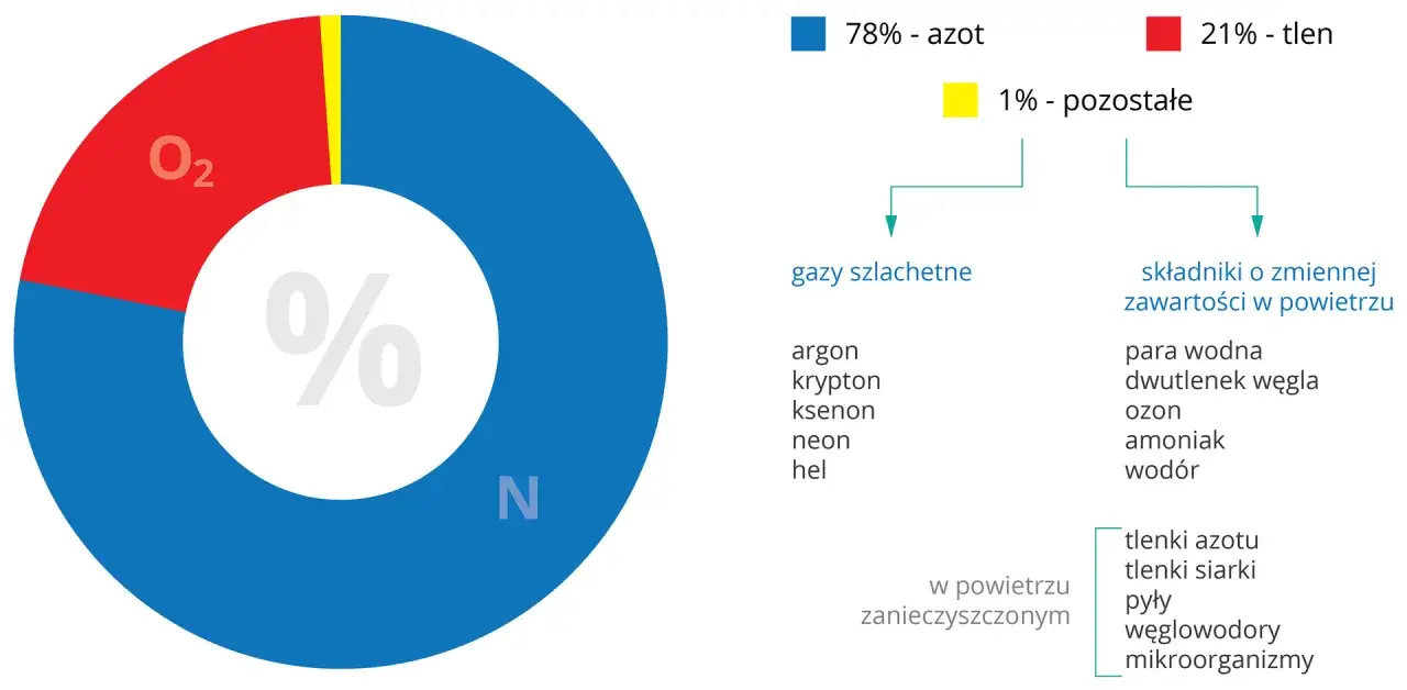 Procentowy skład powietrza: 78% azotu (N), 21% tlenu (O₂), 1% pozostałych gazów szlachetnych i zmiennych.