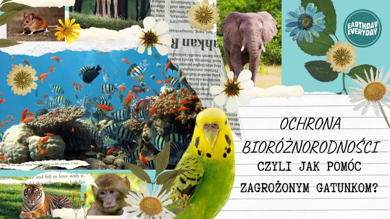 Klimat kształtuje różnorodność biologiczną: od myszy, przez słonie, po ryby i tygrysy. Jak chronić zagrożone gatunki?
