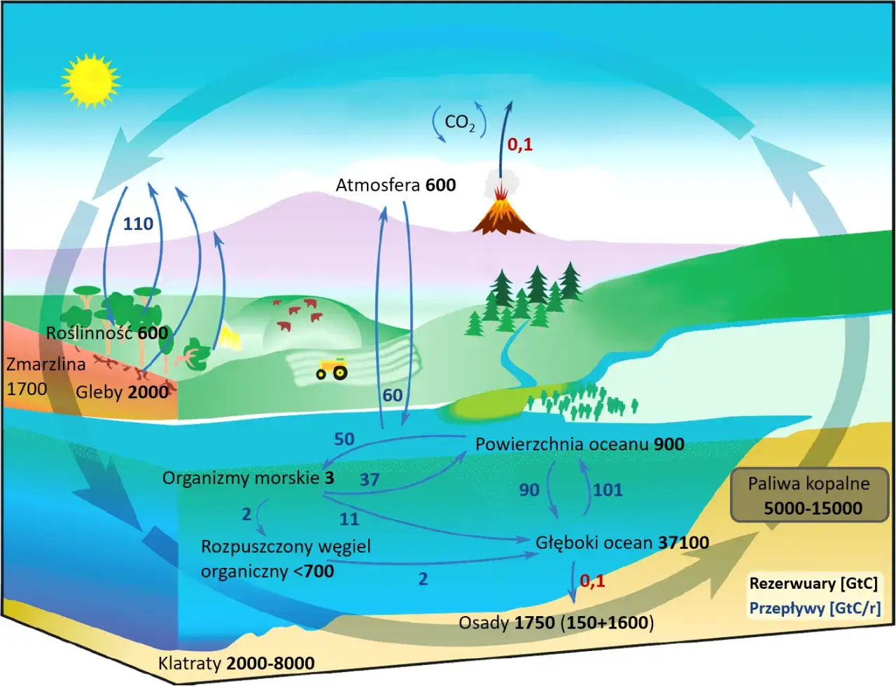 Cykl węglowy: czy dwutlenek węgla jest szkodliwy? Ilustracja pokazuje wymianę CO2 między atmosferą, roślinnością, glebą, oceanem i paliwami kopalnymi.
