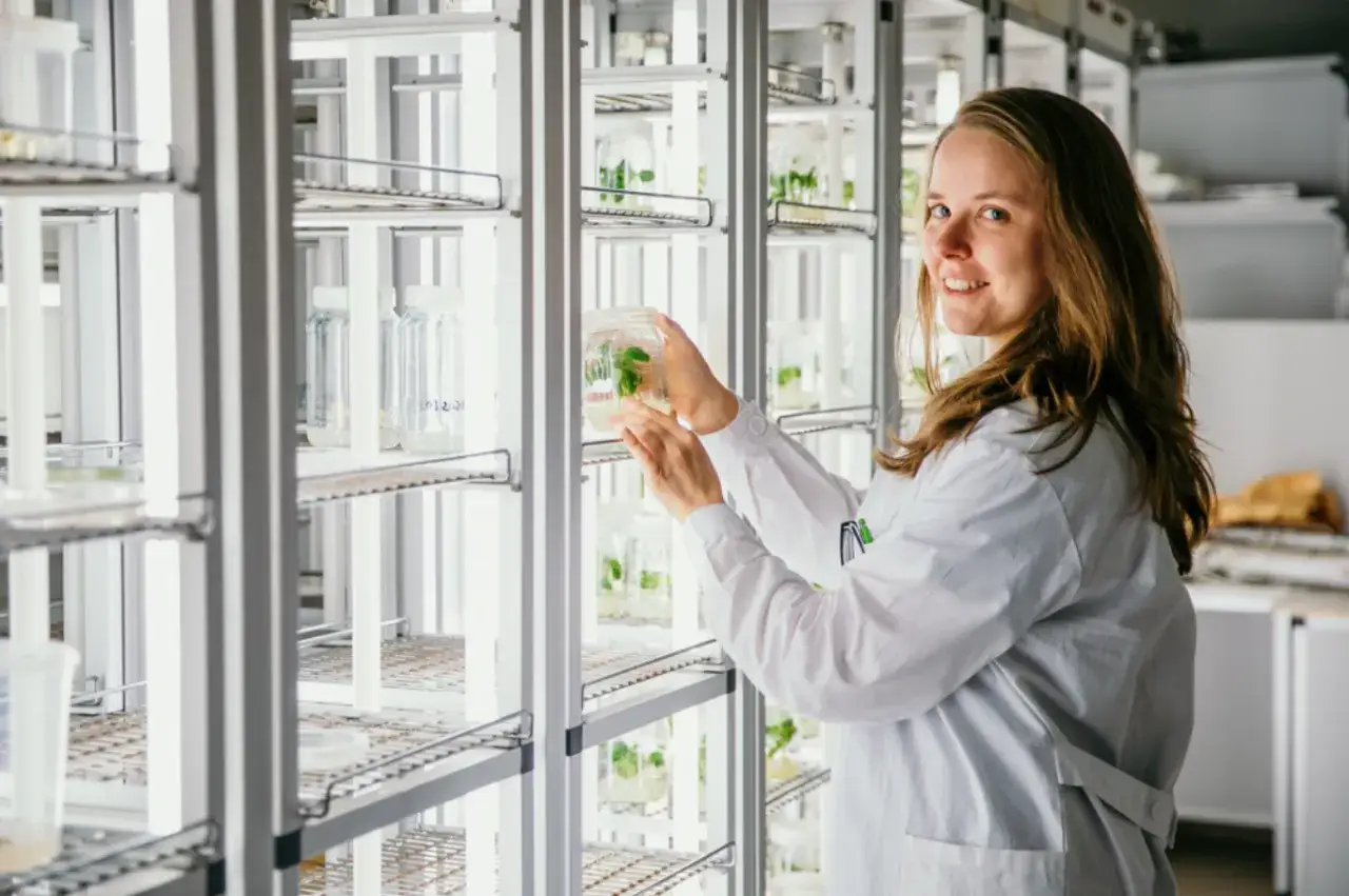 Biolog w białej kitle bada rośliny w słoikach, które znajdują się na półkach w laboratorium.