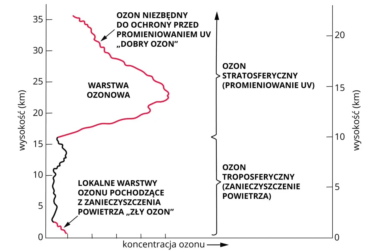 Wykres pokazuje grubość warstwy ozonowej. Czerwona linia ilustruje ozon stratosferyczny (