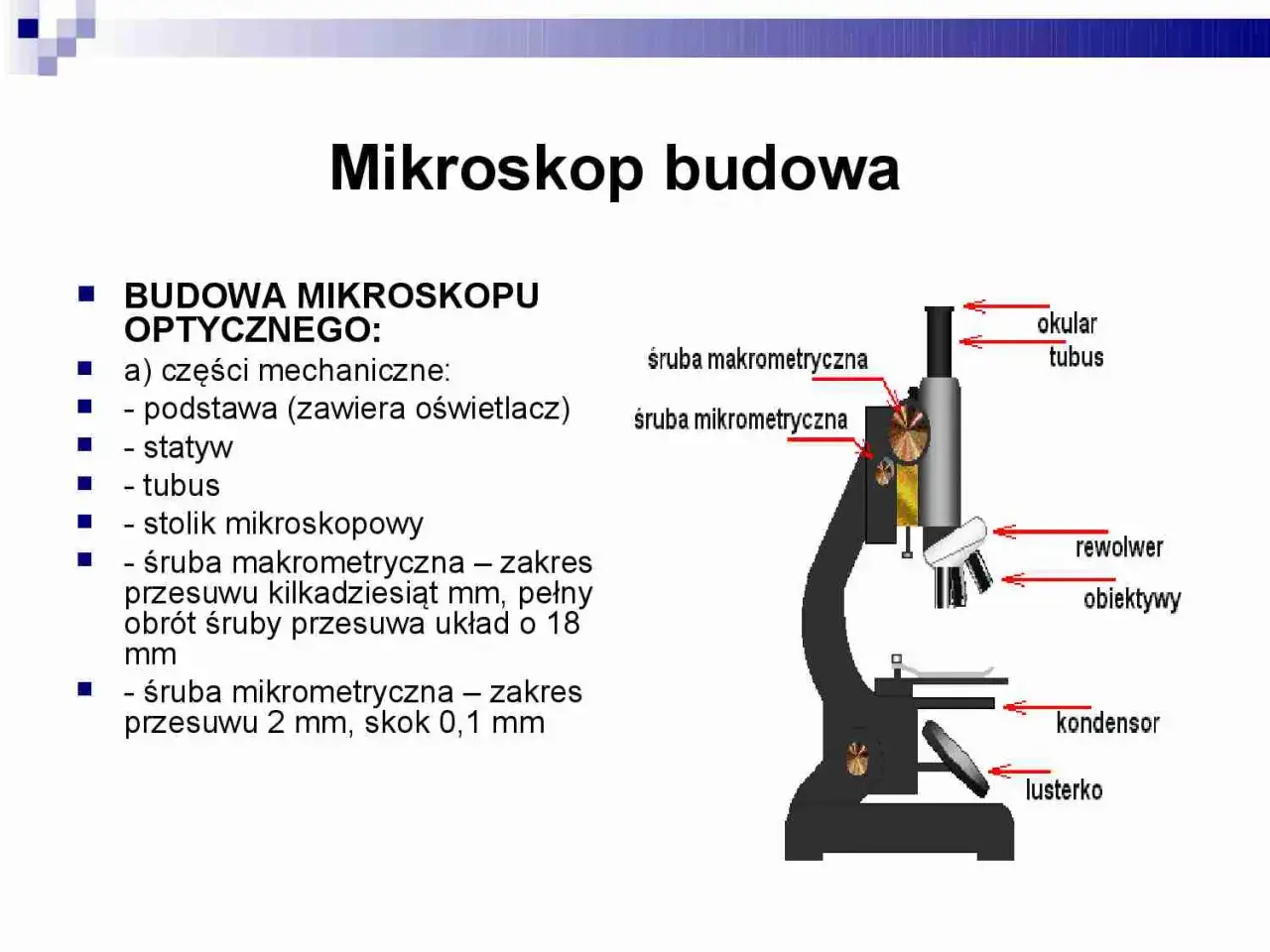 Rysunek przedstawia budowę mikroskopu optycznego z zaznaczonymi elementami: okular, tubus, śruby makrometryczne, rewolwer, obiektywy, kondensor i lusterko.