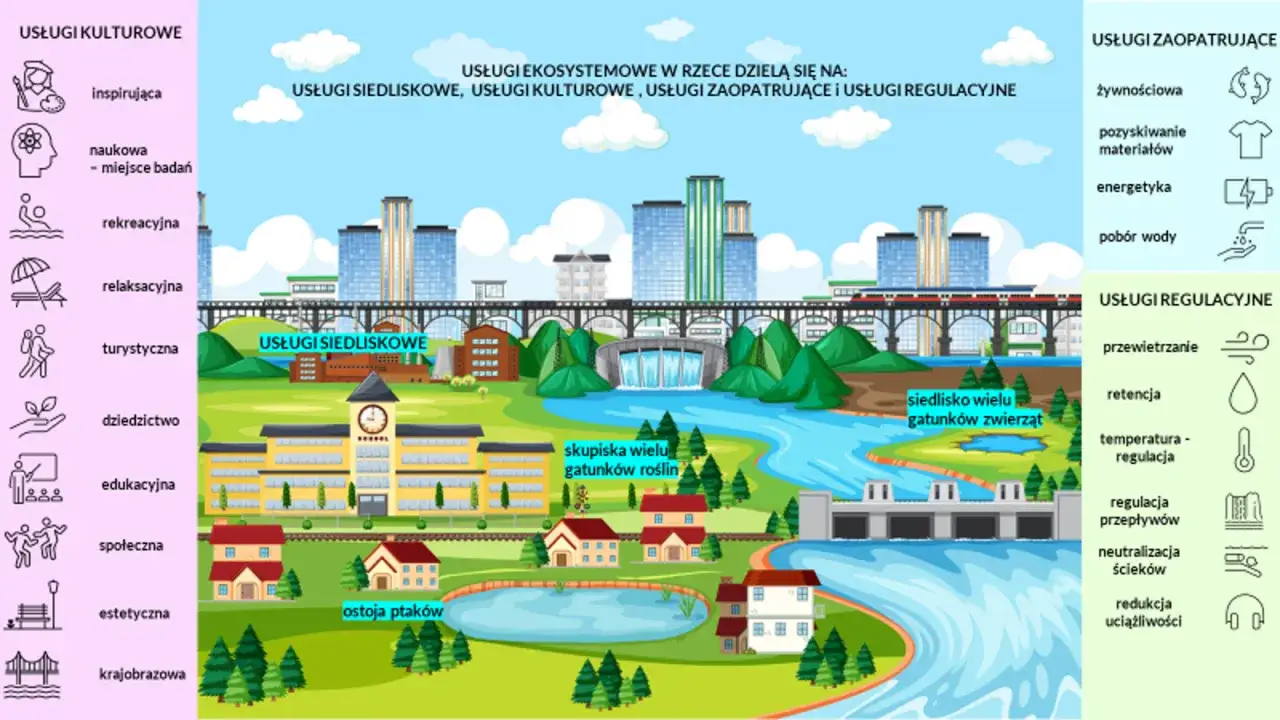 Ilustracja pokazuje, co to jest bioróżnorodność: usługi siedliskowe, kulturowe, zaopatrzeniowe i regulacyjne w ekosystemie rzeki.