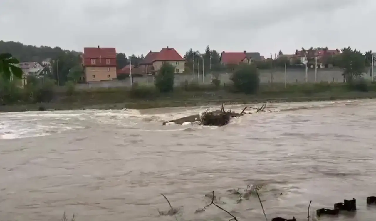 Potężna rzeka wylewa, niosąc ze sobą gałęzie i śmieci. To obraz ukazujący jedne z przyczyn powodzi w Polsce – gwałtowne wezbranie wód.