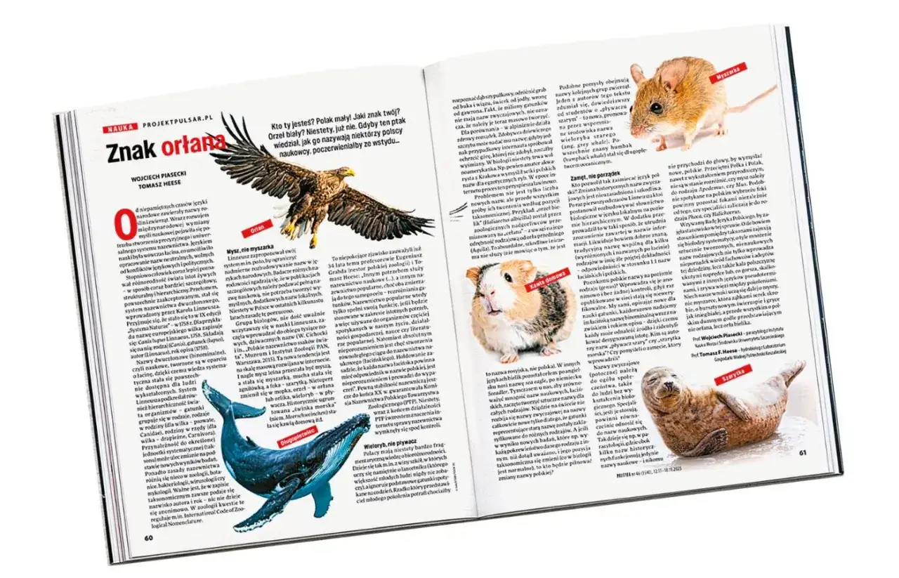 Orzeł bielik (Haliaeetus albicilla), mysz domowa (Mus musculus), kawia domowa (Cavia porcellus) i foka pospolita (Phoca vitulina) na stronach magazynu.